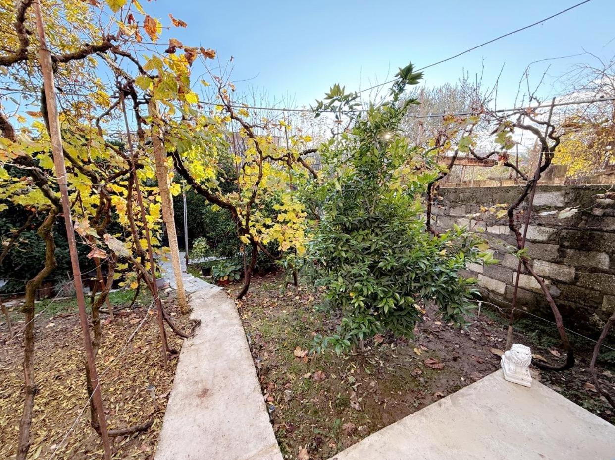Guesthouse Albi Berat Dış mekan fotoğraf